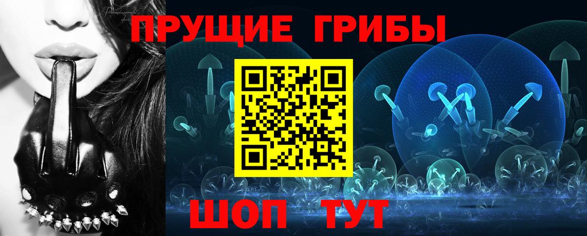 Шадринск  Псилоцибиновые грибы ЛСД  Вход с VPN 